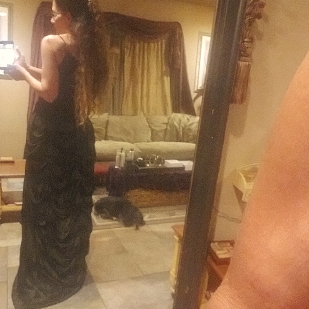 Renaissance Bustle (Hi-Low) Skirt